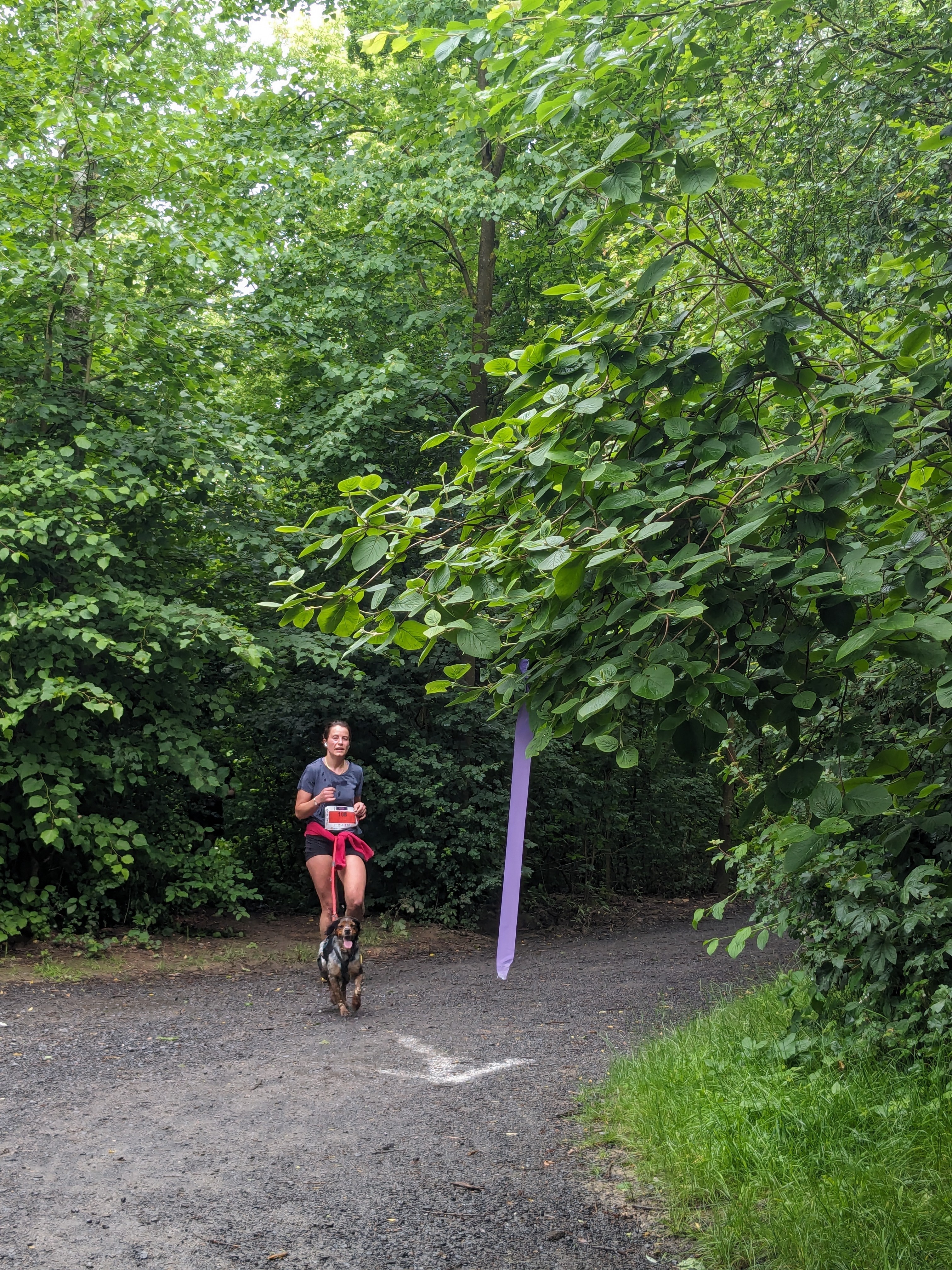 L xaltante 2024 trail 365 