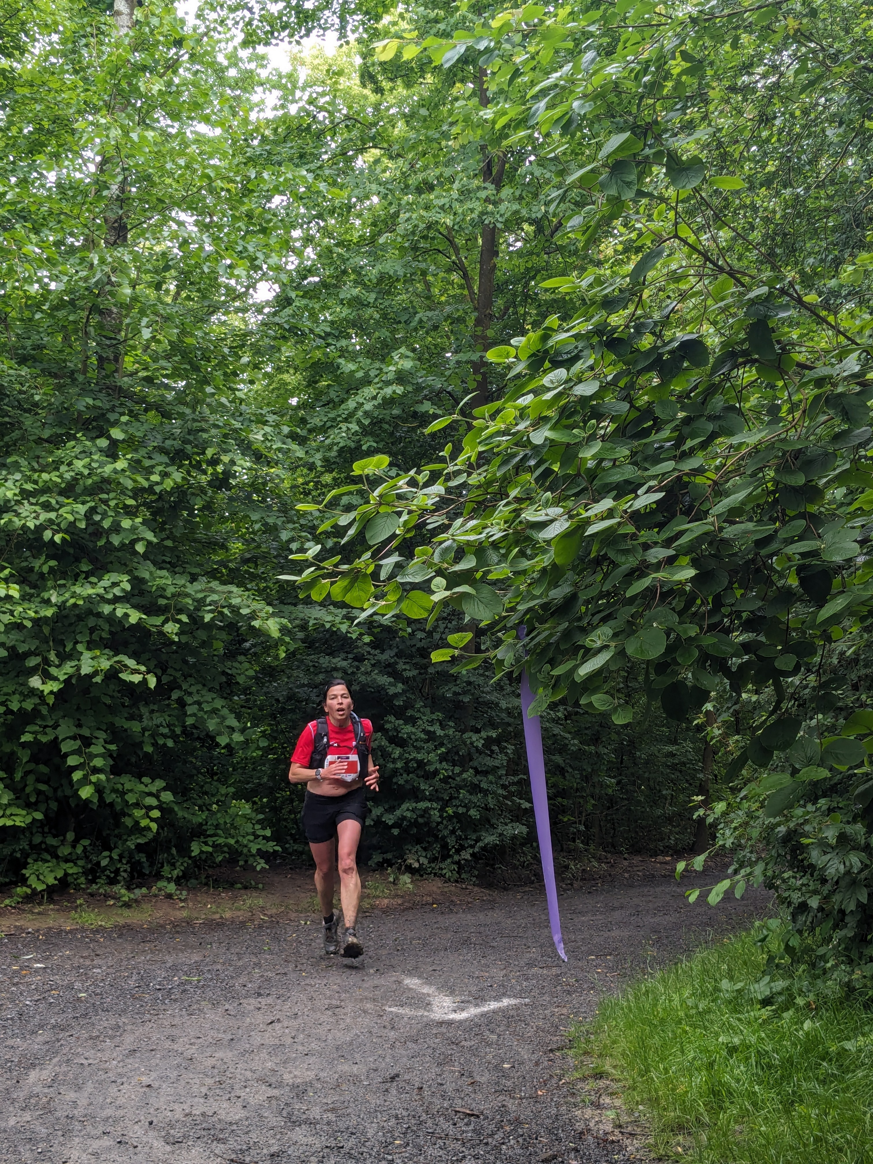 L xaltante 2024 trail 469 