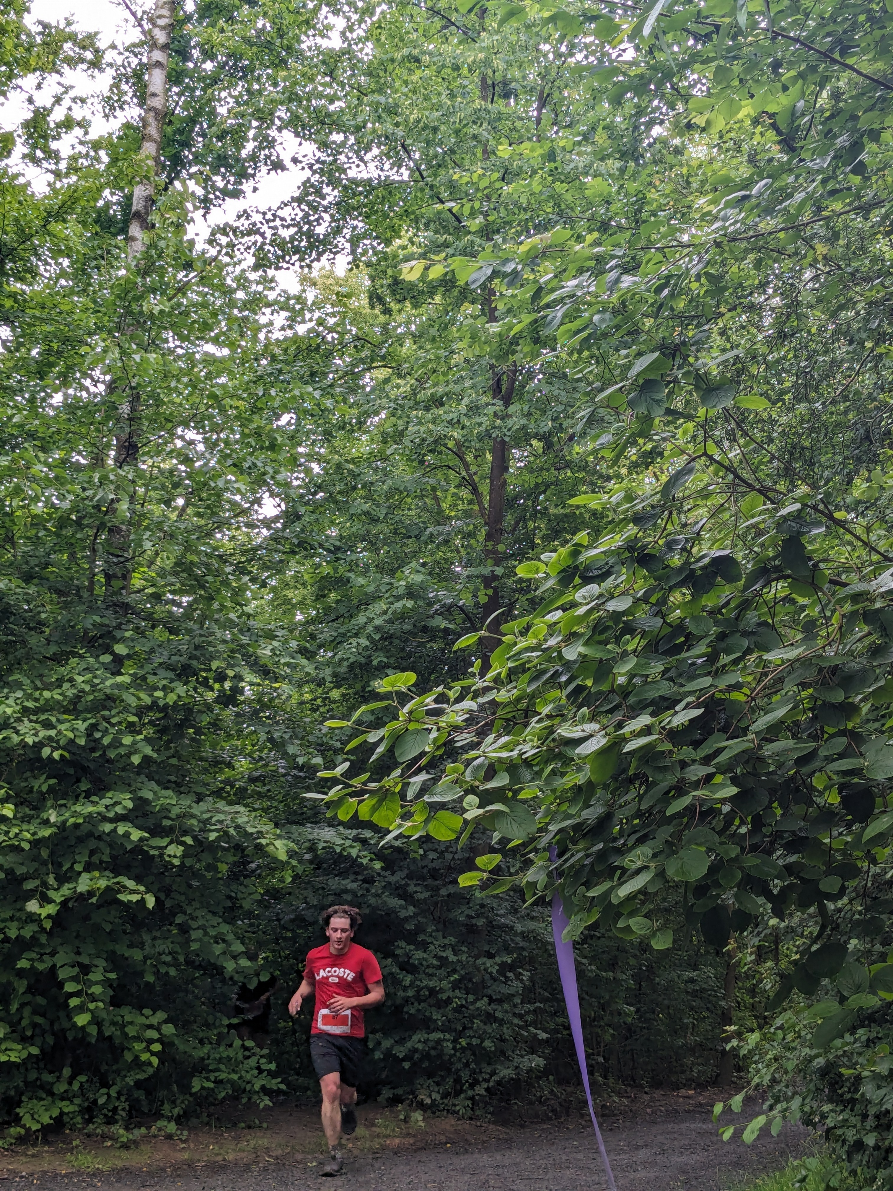 L xaltante 2024 trail 502 