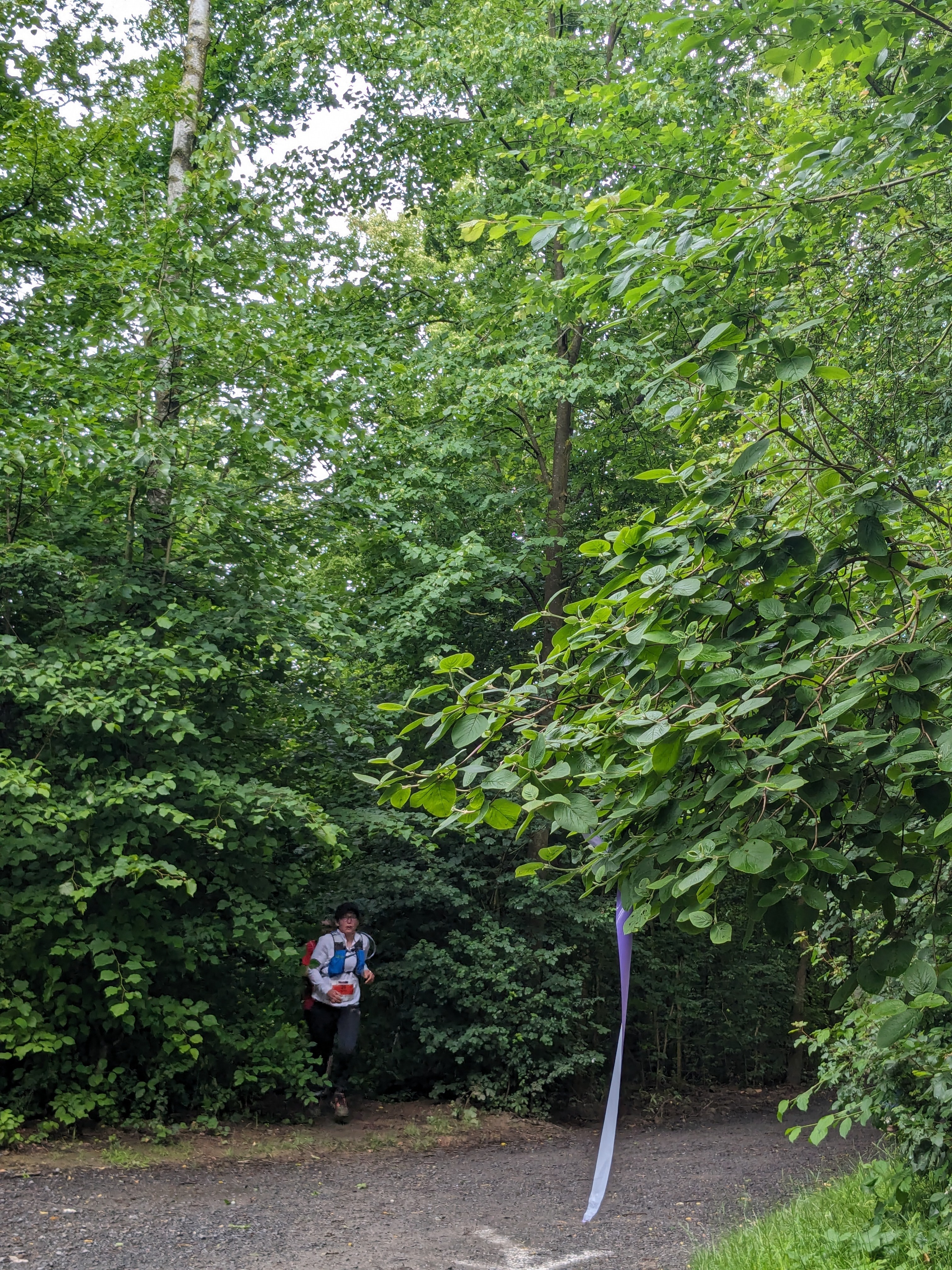 L xaltante 2024 trail 569 