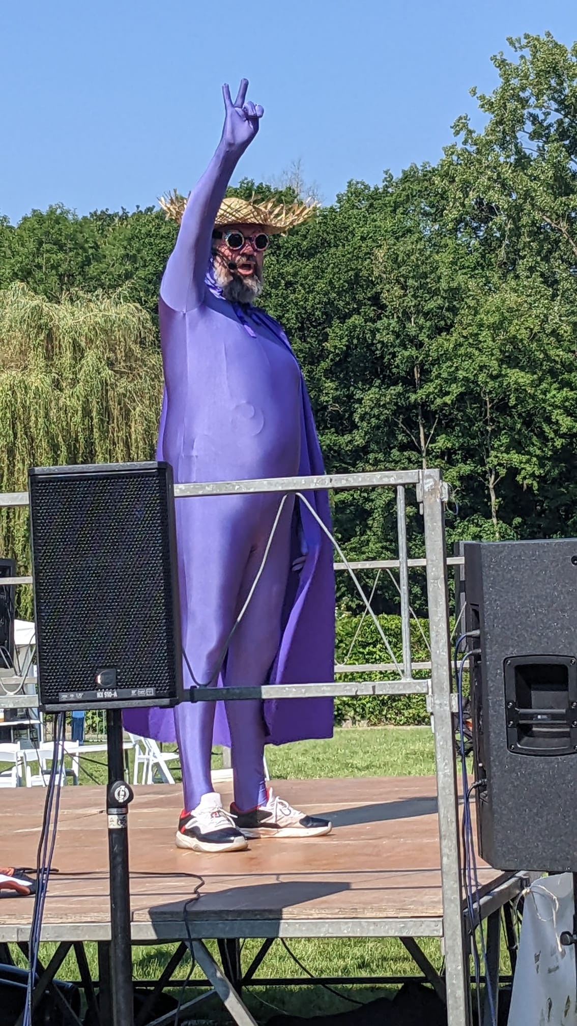 Mr aubergine 3 1