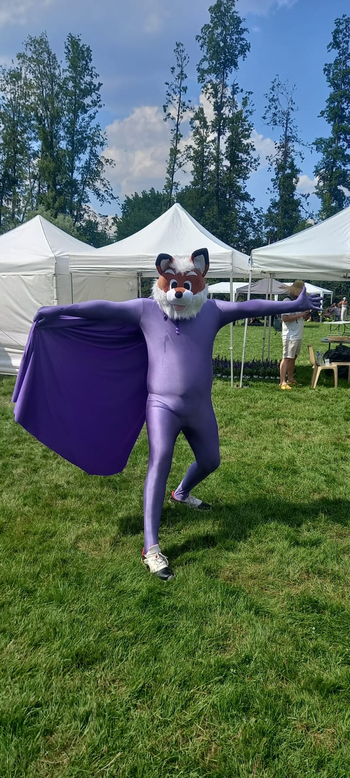 Mr aubergine 4 1